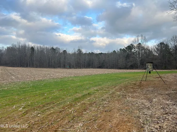 $725,000 | 51 U Highway South, Duck Hill, MS 38925