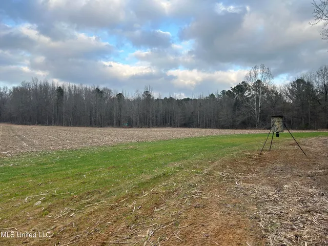 $725,000 | 51 U Highway South, Duck Hill, MS 38925