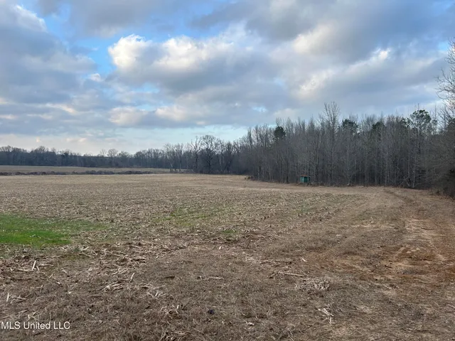 $725,000 | 51 U Highway South, Duck Hill, MS 38925