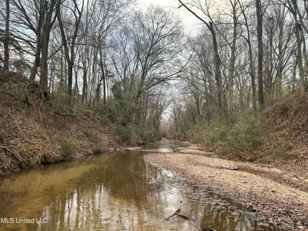 $725,000 | 51 U Highway South, Duck Hill, MS 38925