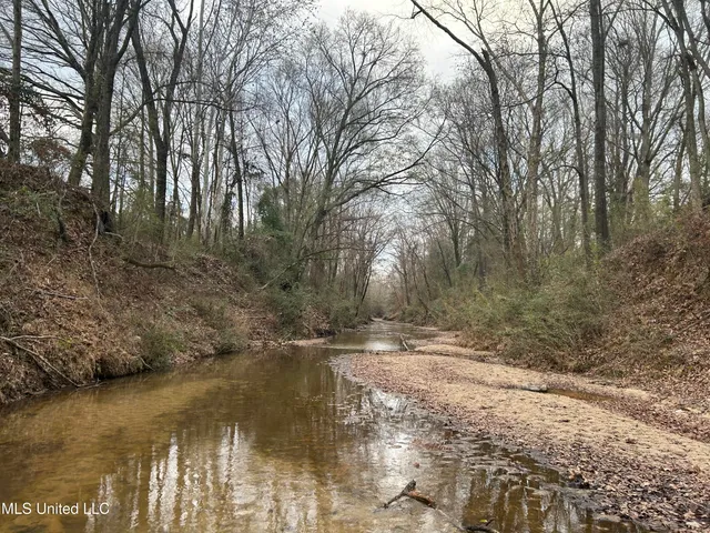 $725,000 | 51 U Highway South, Duck Hill, MS 38925