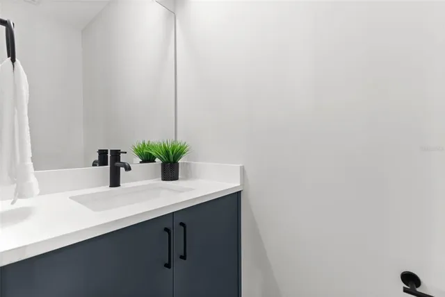 a bathroom with a sink a mirror and a potted plant