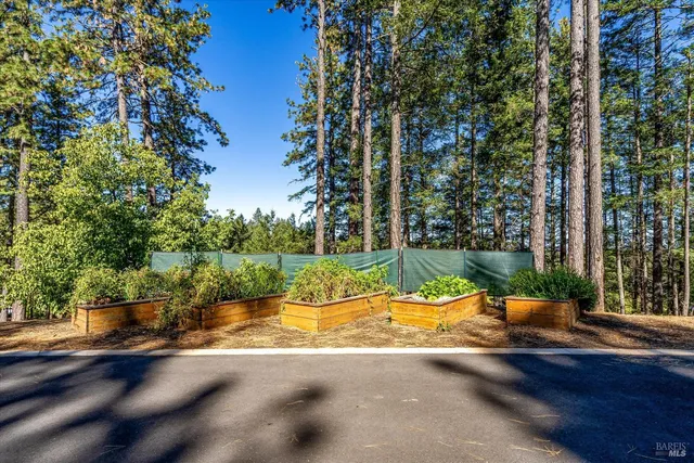 $3,500,000 | 1155 Las Posadas Road, Angwin, CA 94508