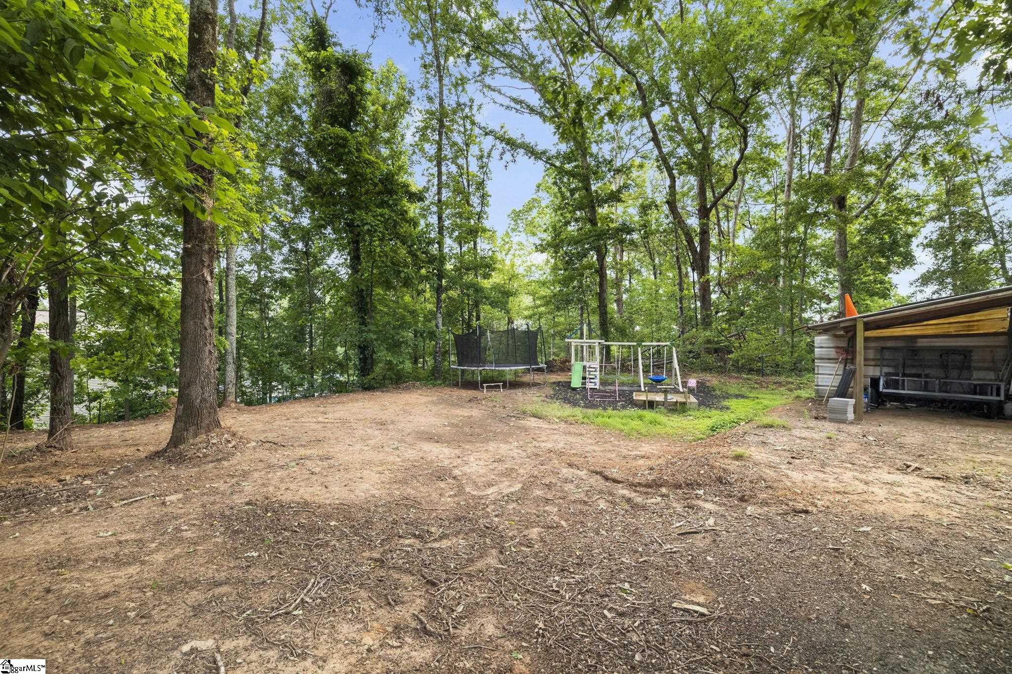 4195 South Blue Ridge Drive Greer, SC 29651 - Photo 28 of 37