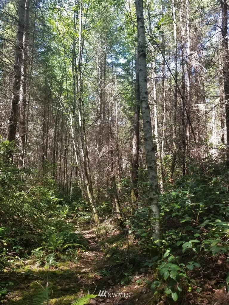 11295 Coyle Road Quilcene, WA 98376 - Photo 14 of 16 Gallery Image 14