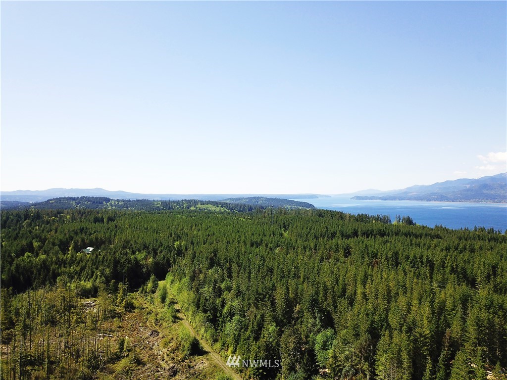 11295 Coyle Road Quilcene, WA 98376 - Photo 4 of 16 Gallery Image 4