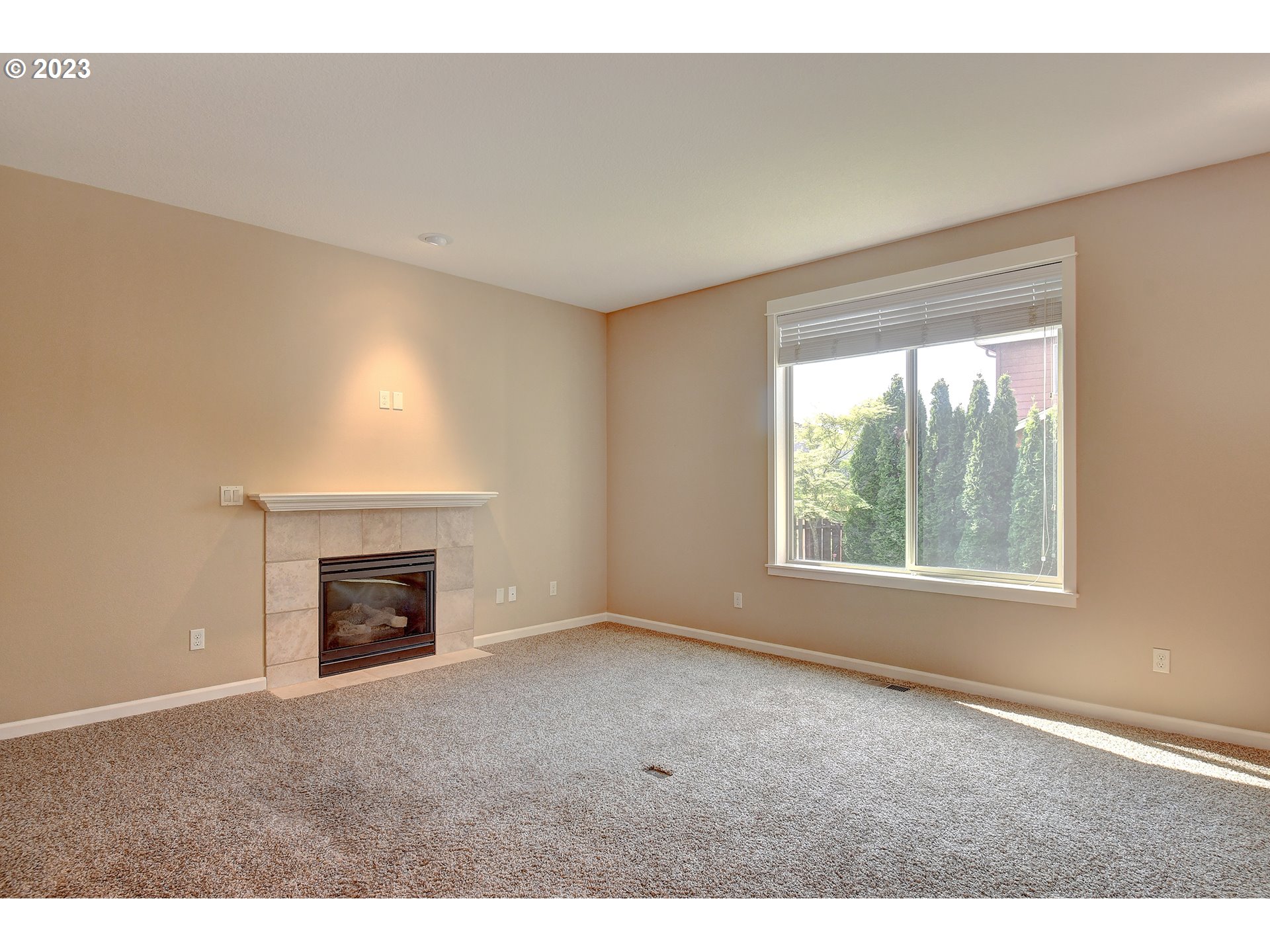 3021 Northeast 171st Street Ridgefield, WA 98642 - Photo 9 of 42 Gallery Image 9