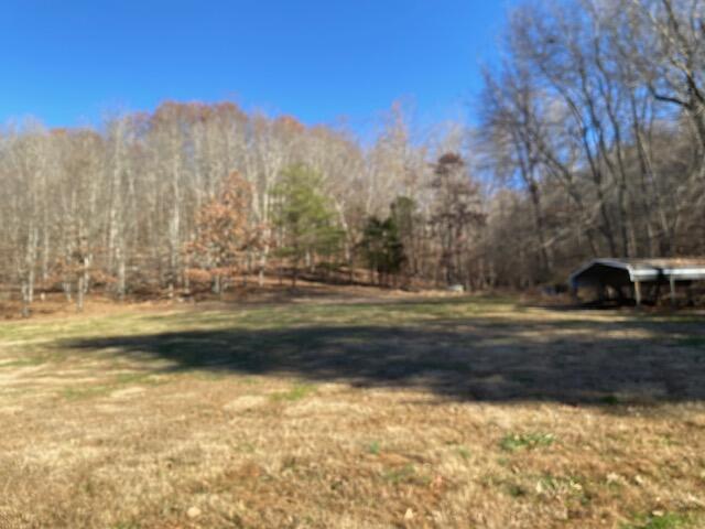 388 Kettle Creek Road Liberty, KY 42539 - Photo 32 of 71 IMG_9957