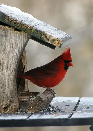 $399,900 | W10892 County Road V, Lodi, WI 53555