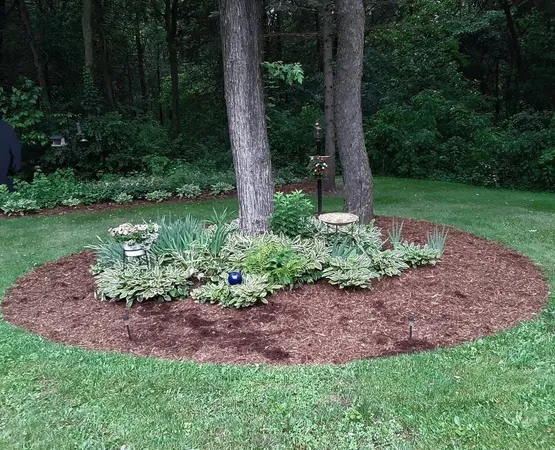 $399,900 | W10892 County Road V, Lodi, WI 53555