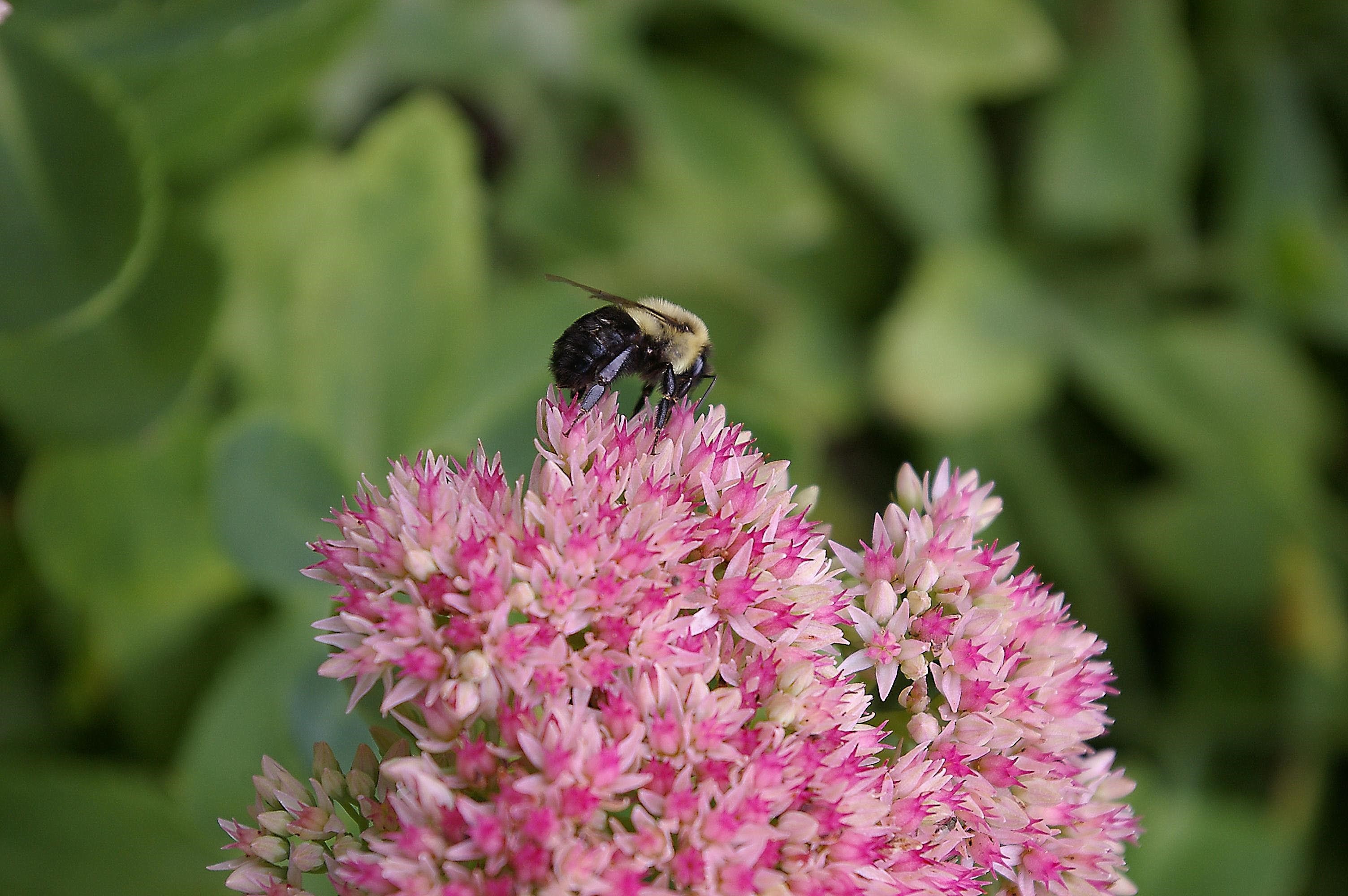 W10892 County Road V Lodi, WI 53555 - Photo 52 of 60