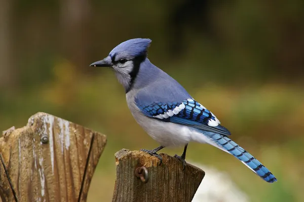 $399,900 | W10892 County Road V, Lodi, WI 53555