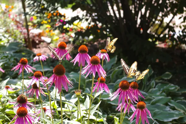 $399,900 | W10892 County Road V, Lodi, WI 53555