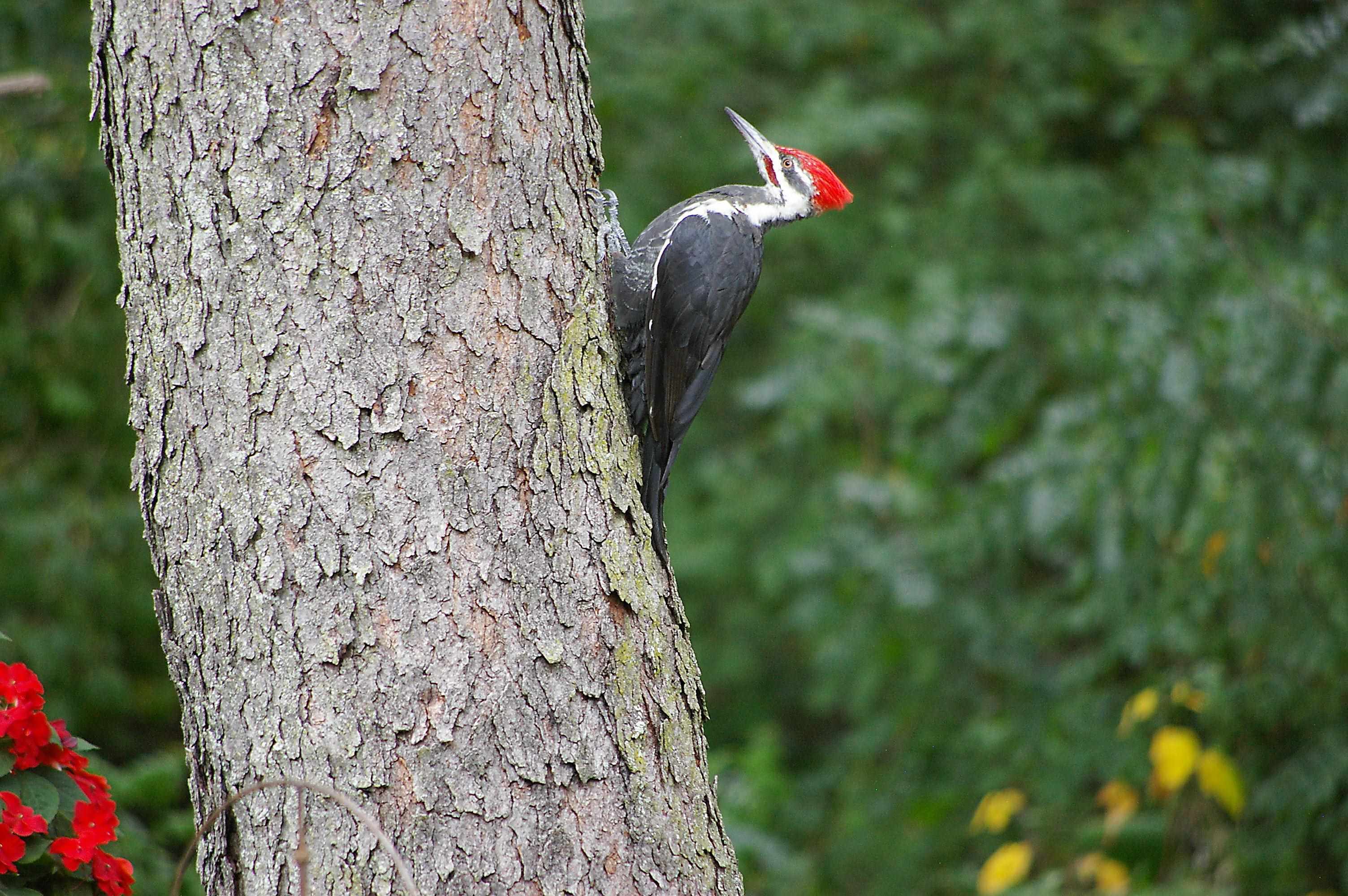 W10892 County Road V Lodi, WI 53555 - Photo 55 of 60