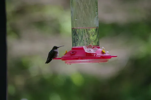 $399,900 | W10892 County Road V, Lodi, WI 53555