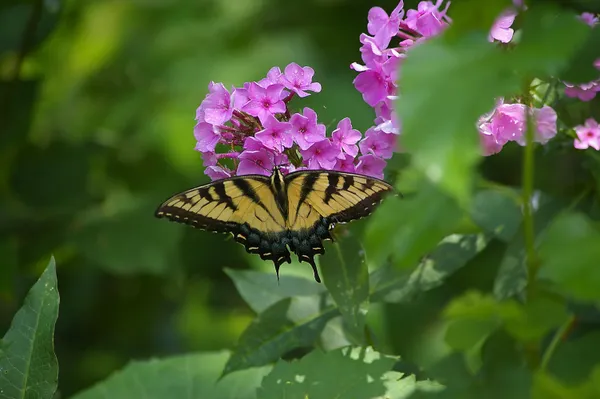 $399,900 | W10892 County Road V, Lodi, WI 53555