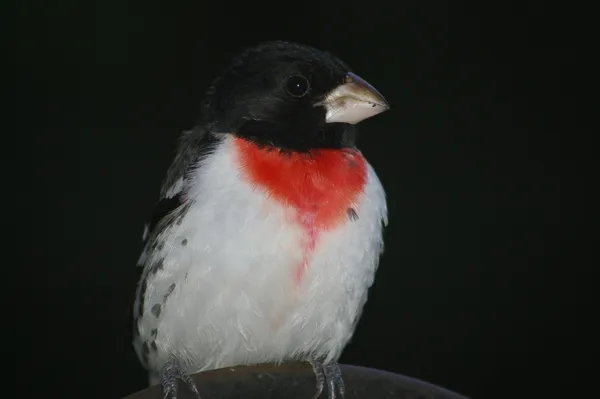 $399,900 | W10892 County Road V, Lodi, WI 53555