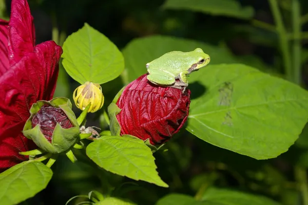 $399,900 | W10892 County Road V, Lodi, WI 53555