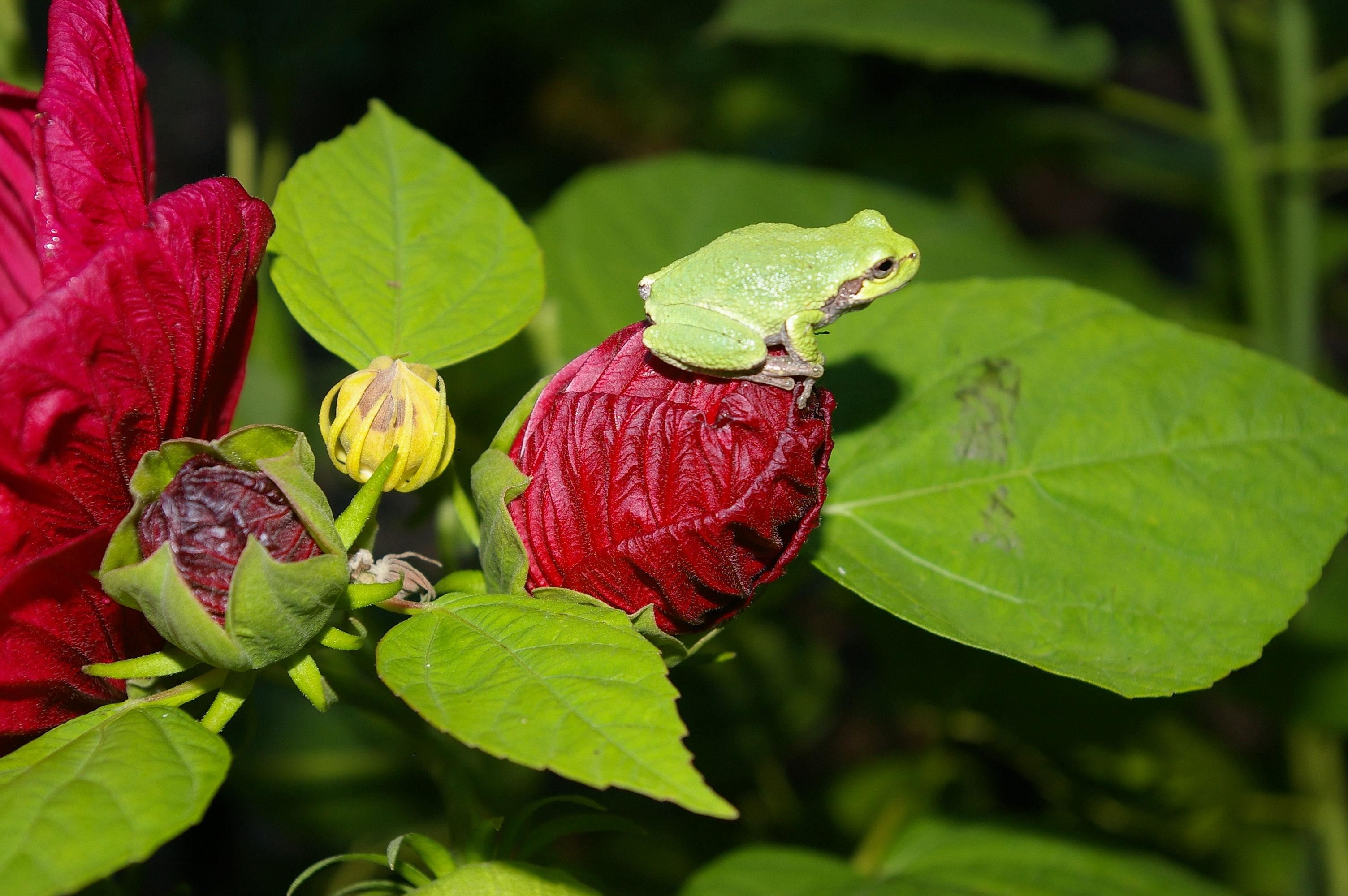 W10892 County Road V Lodi, WI 53555 - Photo 60 of 60