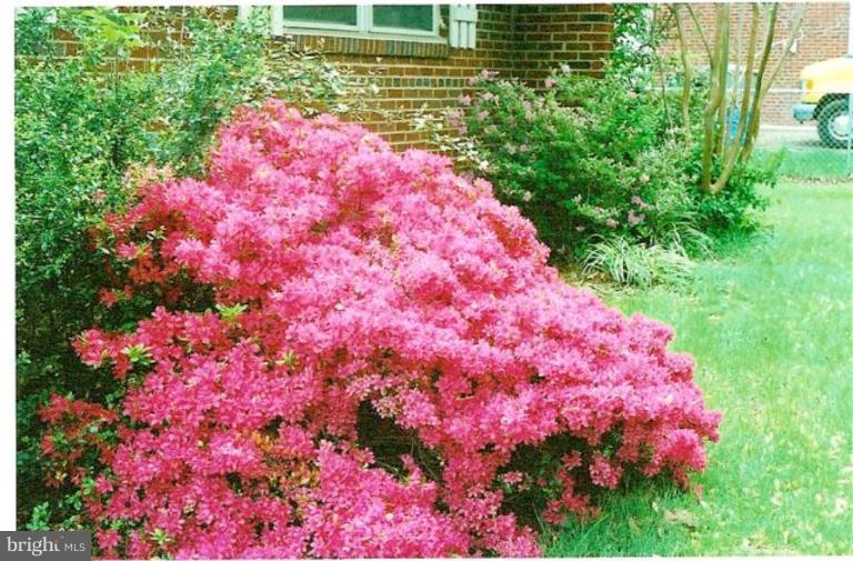 5829 Lebanon Road Alexandria, VA 22310 - Photo 18 of 20 Garden