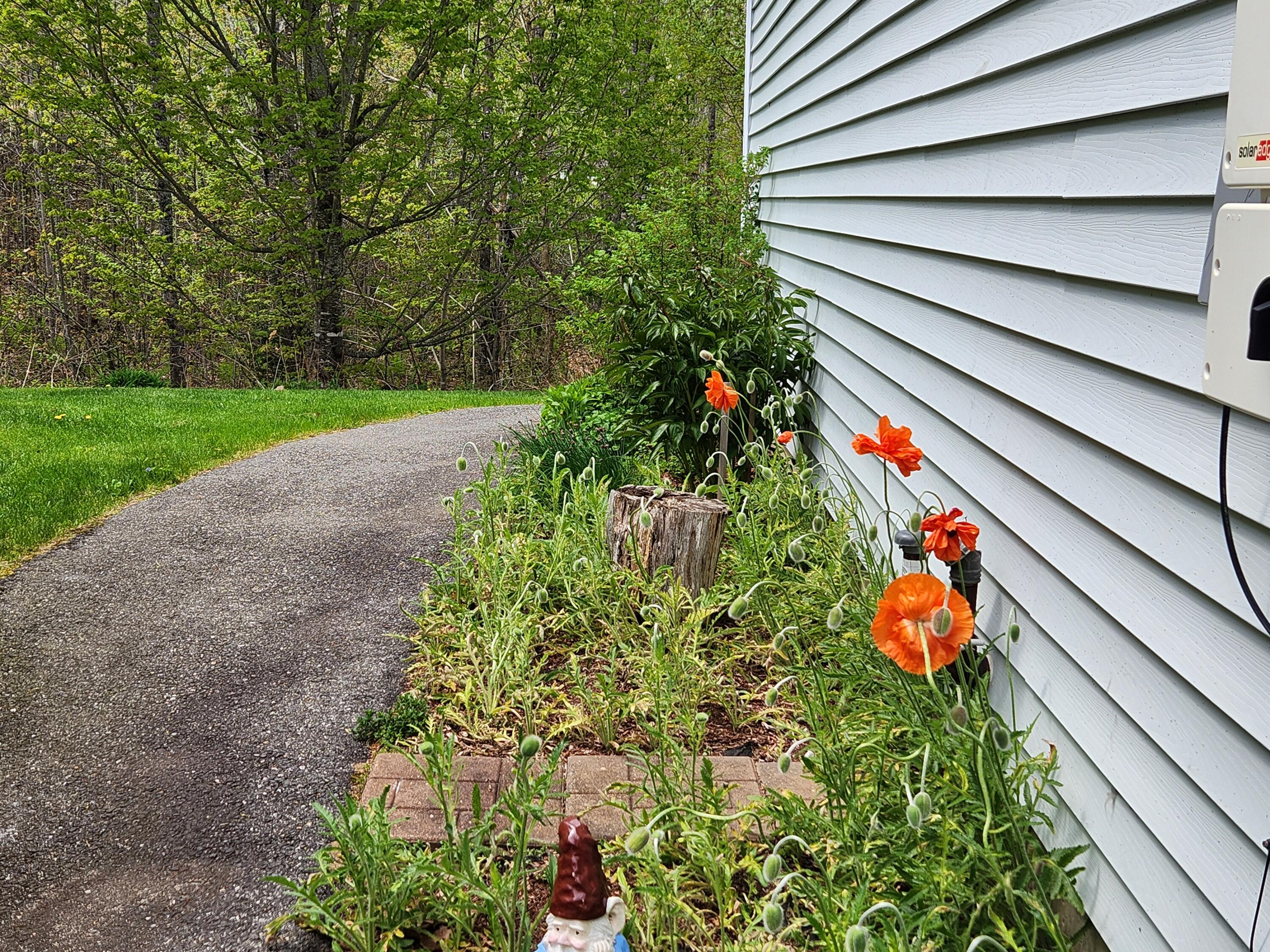 71 Reynolds Road Brooks, ME 04921 - Photo 54 of 59 20260517_124857