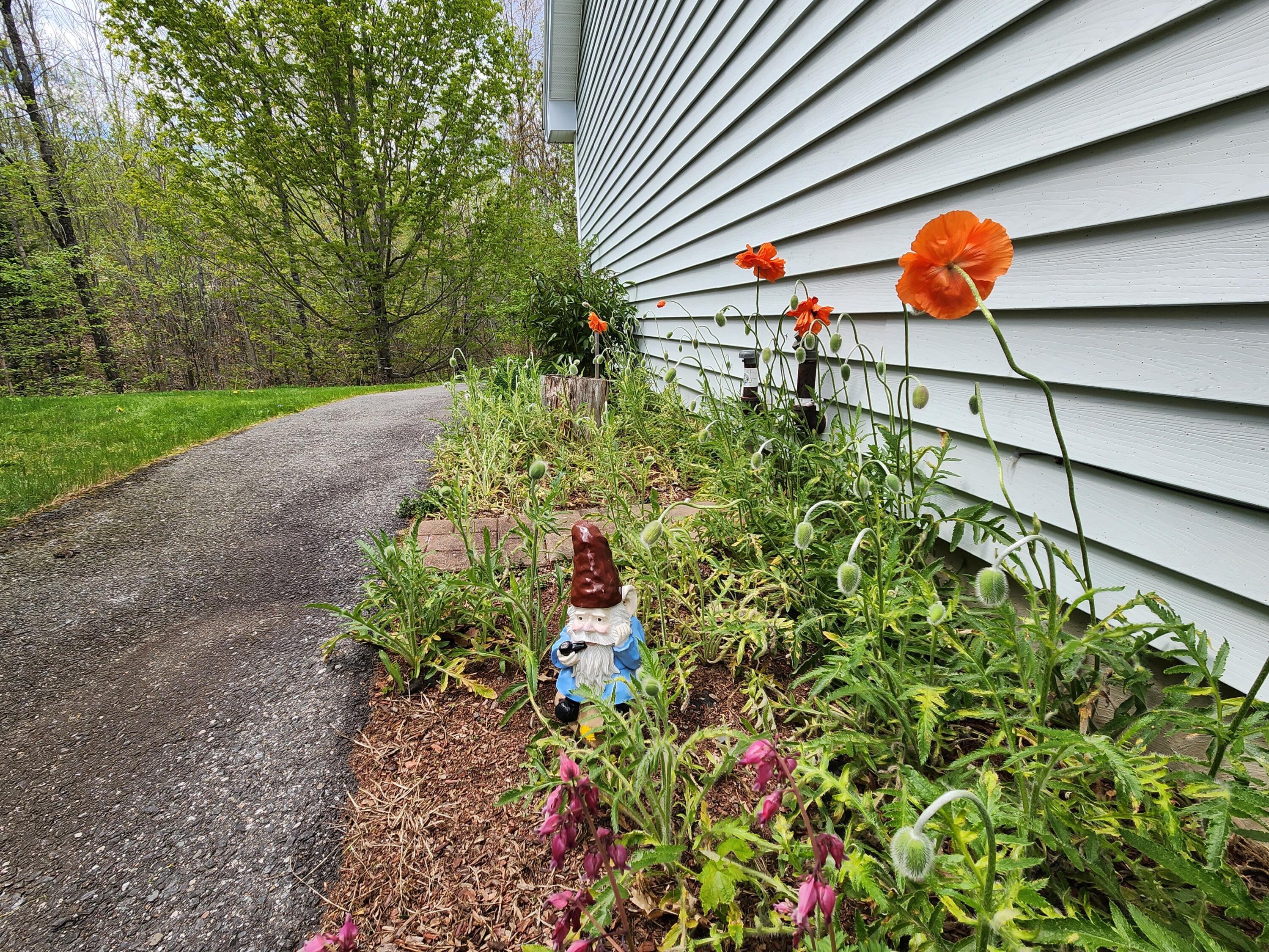 71 Reynolds Road Brooks, ME 04921 - Photo 55 of 59 20260517_124944