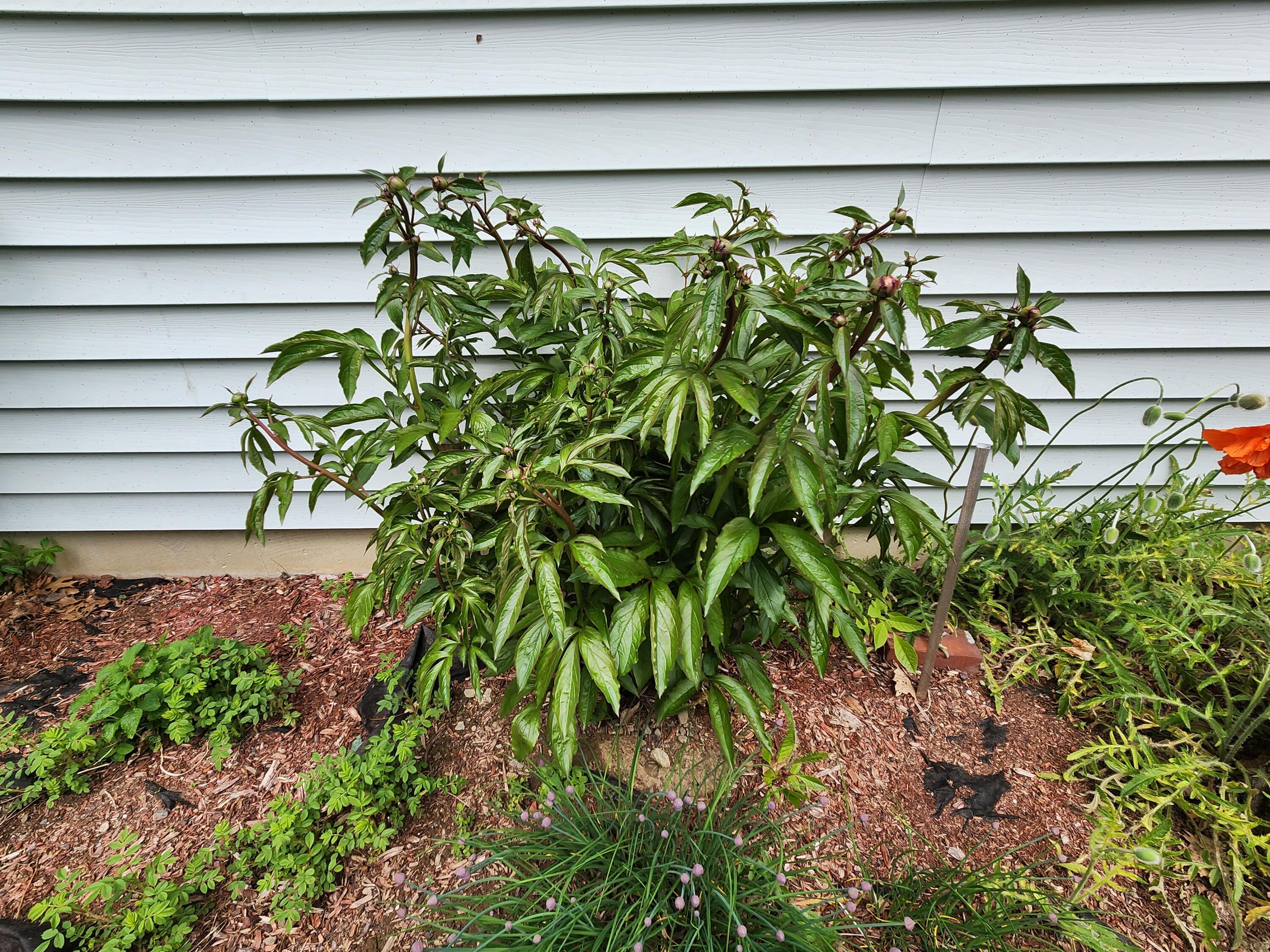 71 Reynolds Road Brooks, ME 04921 - Photo 57 of 59 20260517_124959