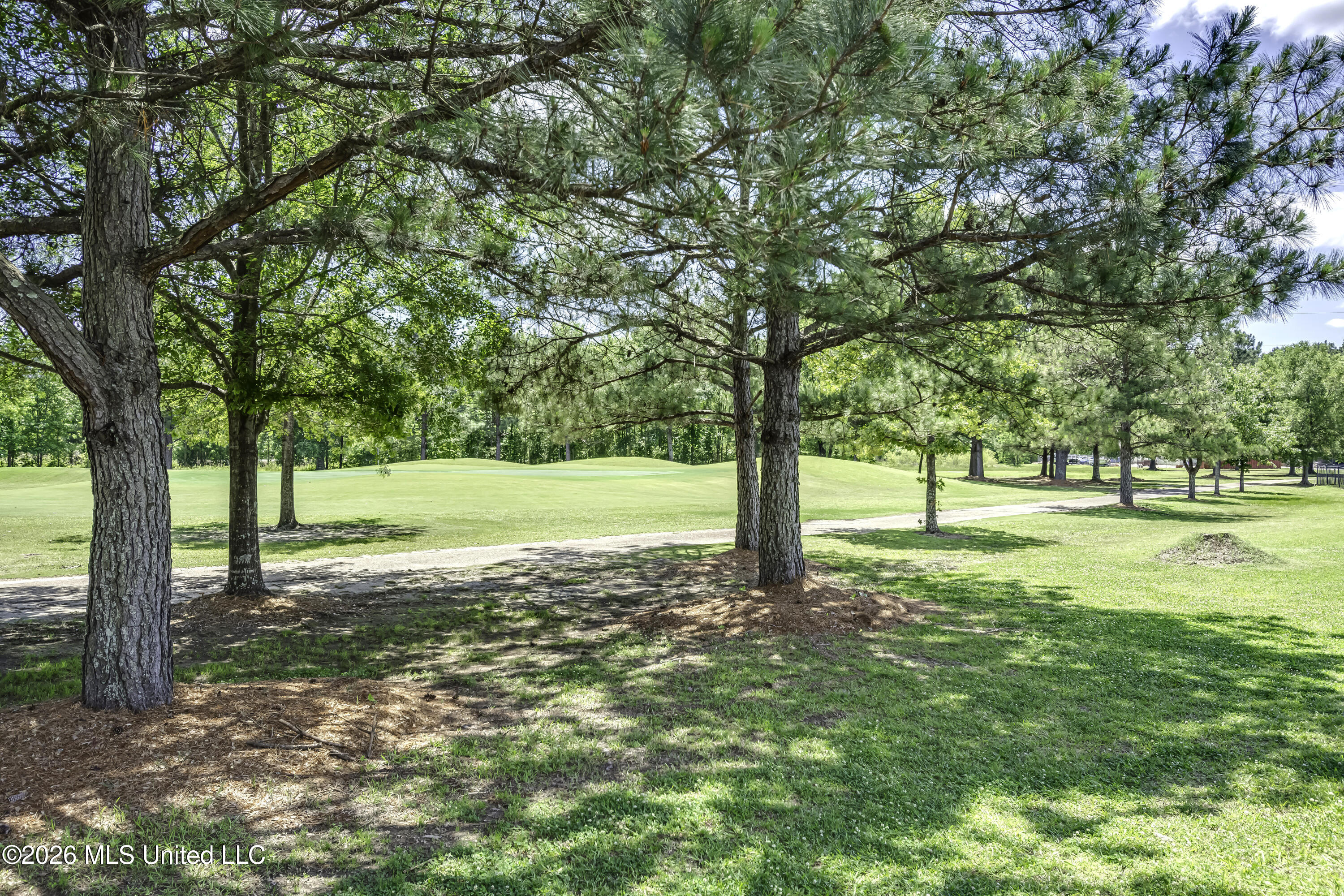 543 Westfield Drive Pearl, MS 39208 - Photo 55 of 65 543 Westfield Dr--54