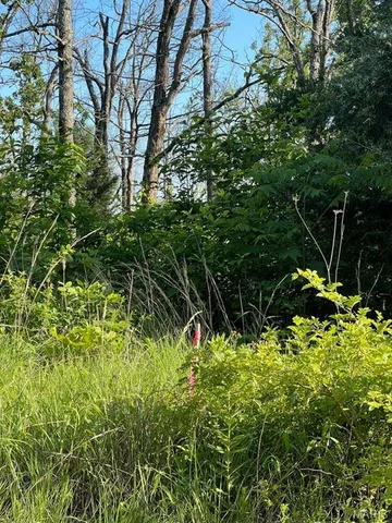 $29,500 | 0 County Road 553, Gainesville, MO 65655