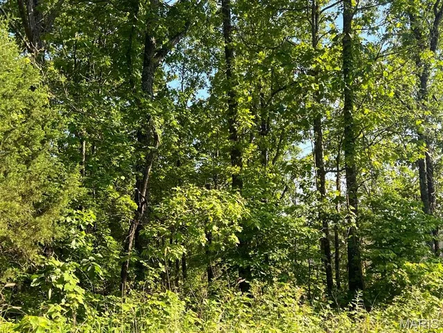 $29,500 | 0 County Road 553, Gainesville, MO 65655