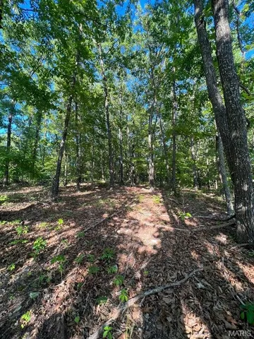 $29,500 | 0 County Road 553, Gainesville, MO 65655