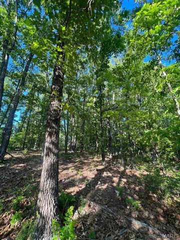 $29,500 | 0 County Road 553, Gainesville, MO 65655