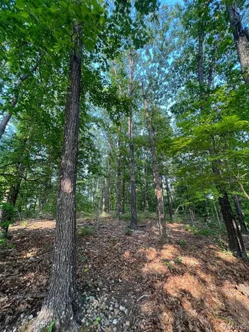 $29,500 | 0 County Road 553, Gainesville, MO 65655