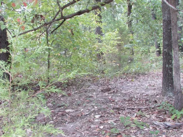 $29,500 | 0 County Road 553, Gainesville, MO 65655