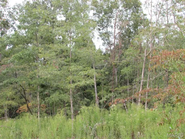 $29,500 | 0 County Road 553, Gainesville, MO 65655