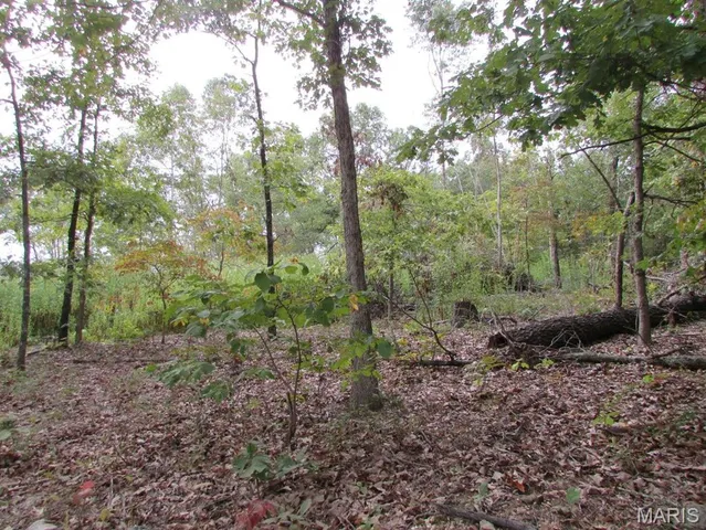 $29,500 | 0 County Road 553, Gainesville, MO 65655