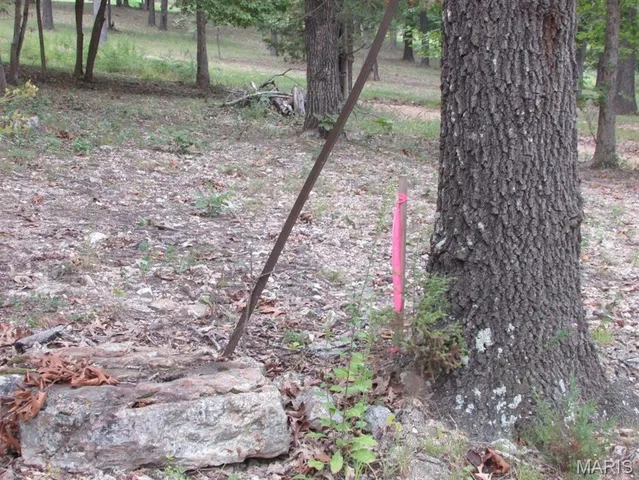 $29,500 | 0 County Road 553, Gainesville, MO 65655