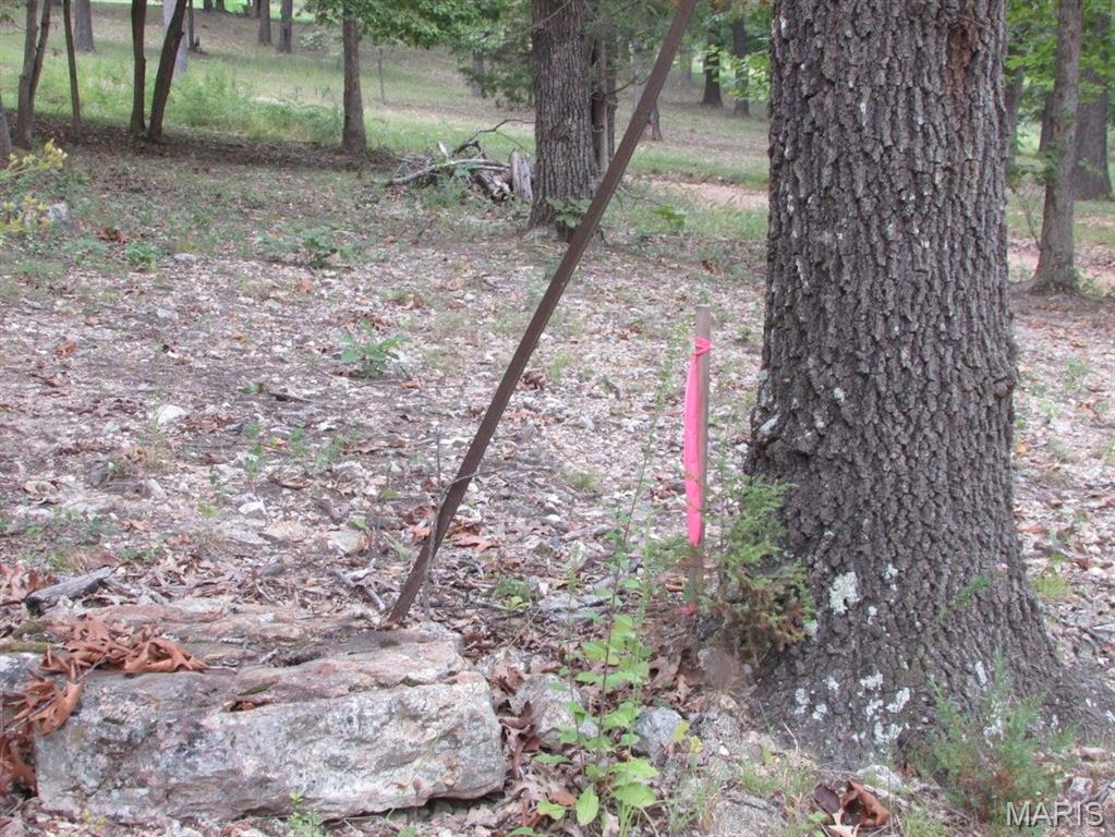 0 County Road 553 Gainesville, MO 65655 - Photo 7 of 17