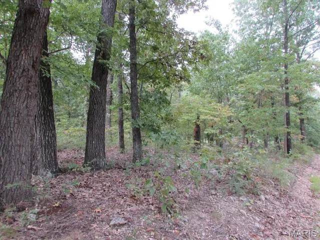 $29,500 | 0 County Road 553, Gainesville, MO 65655