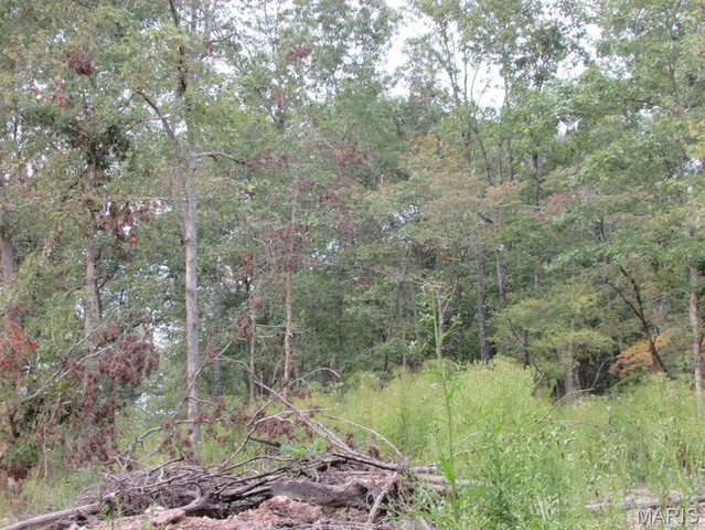 $29,500 | 0 County Road 553, Gainesville, MO 65655