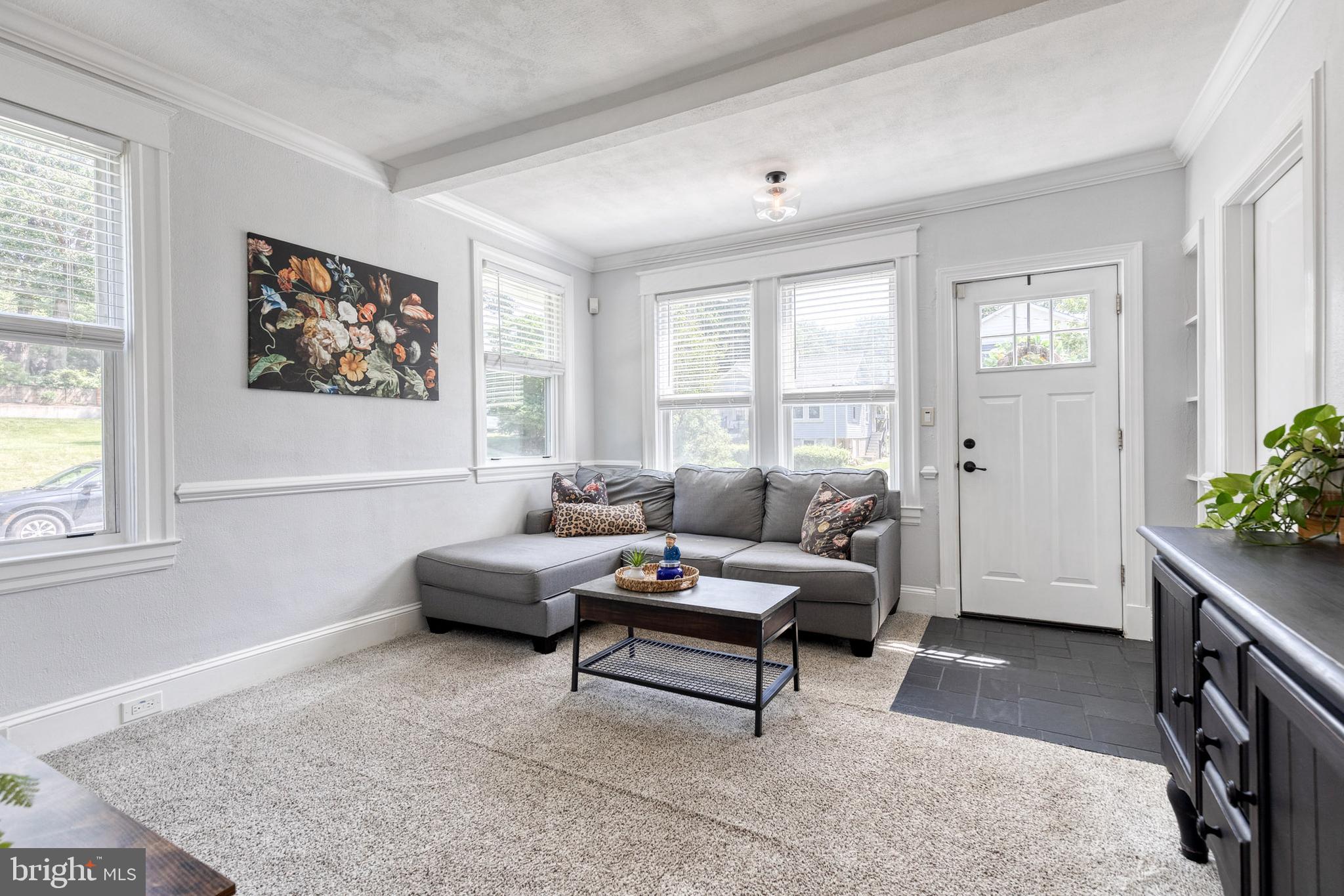 6504 Maplewood Road Baltimore, MD 21212 - Photo 4 of 45 a living room with furniture and a potted plant