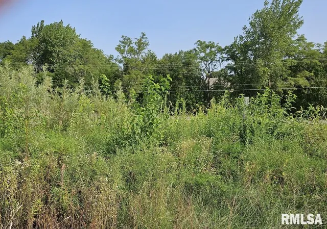$64,990 | Lot 100 Brittany Court, Metamora, IL 61548