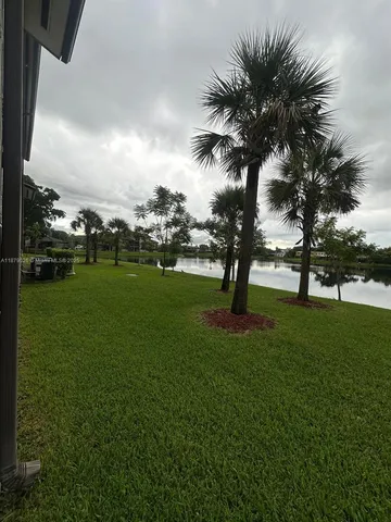 a view of a park with palm trees