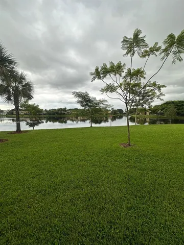 a view of a trees in a yard