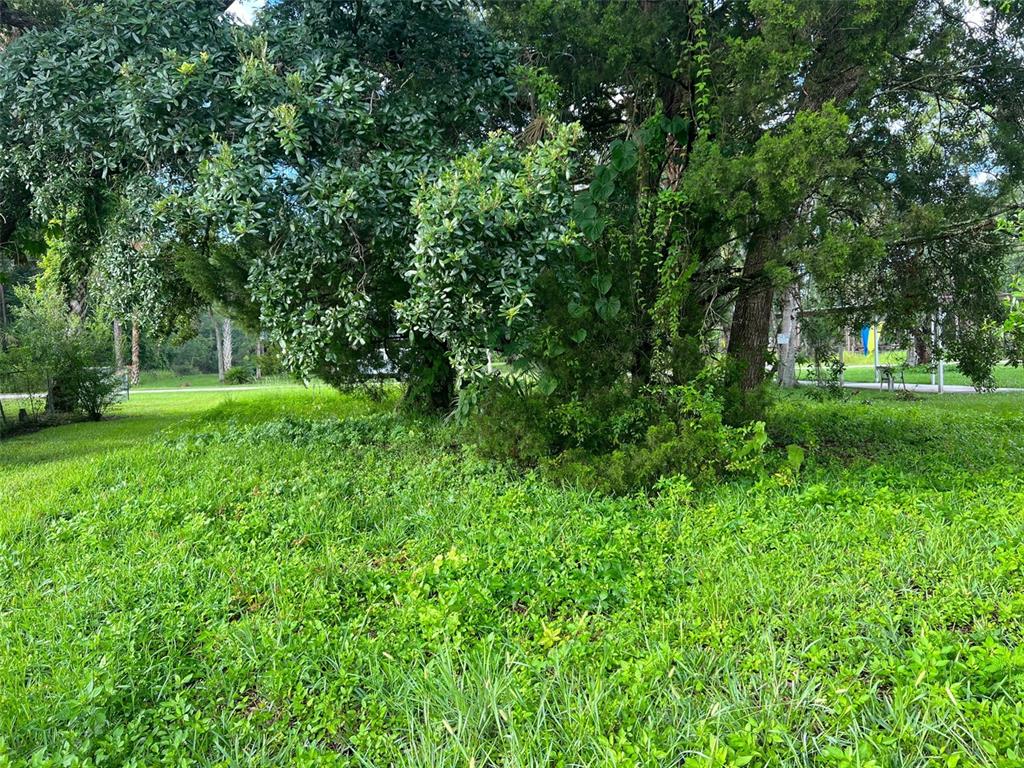 6049 Colony Circle Weeki Wachee, FL 34607 - Photo 4 of 17