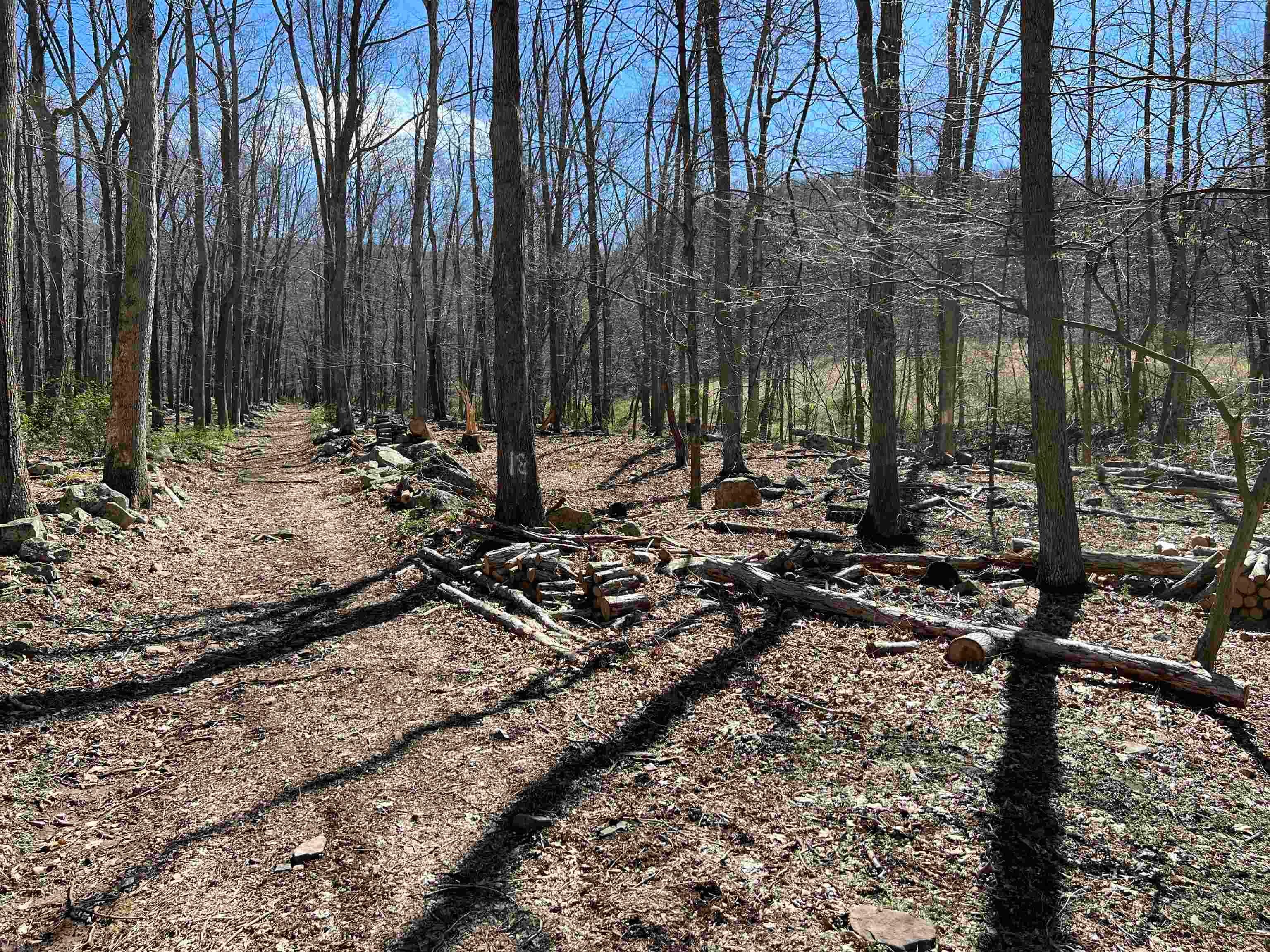 Tbd Lumber Jack Road Narrows, VA 24124 - Photo 23 of 31 Gallery Image 23