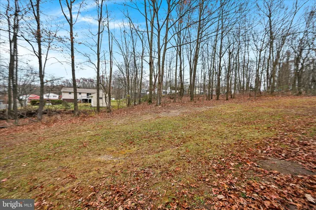 a view of a yard with a tree