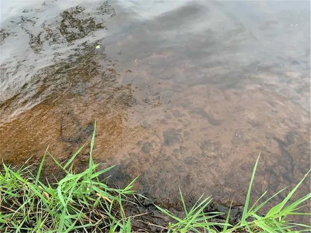 $129,000 | 14-xxx East Cross Lake Road, Pine City, MN 55063