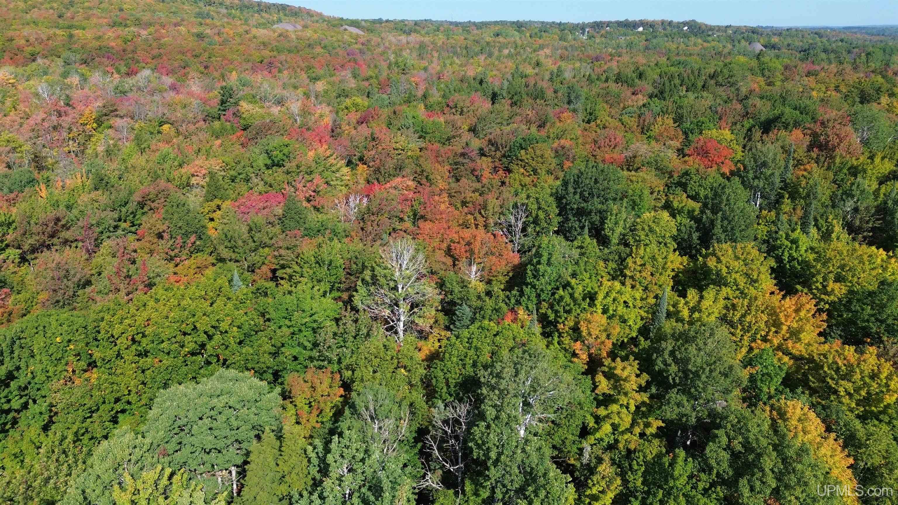 Tbd Tbd Baltic Onkalos Corner Road South Range, MI 49963 - Photo 5 of 37
