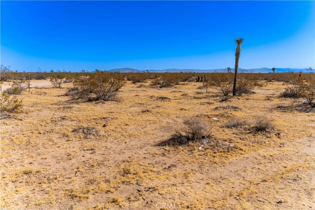 6311431 Sunset Road Joshua Tree, CA 92252 - Photo 11 of 15